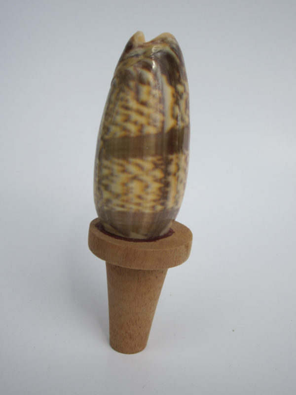 Olive Shell Wine Stopper