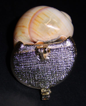 Yellow Snail Shell Coin Purse