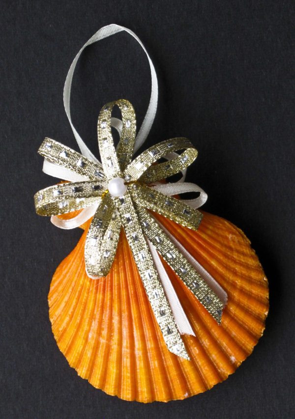 Pecten Shell Christmas Ornament