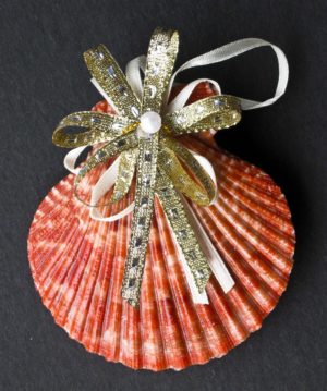 Pecten Shell Christmas Ornament