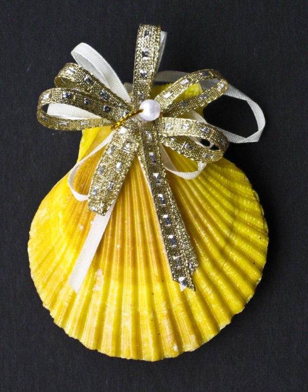 Pecten Shell Christmas Ornament