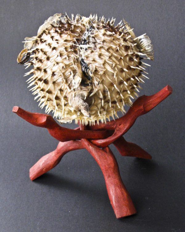 Pufferfish - Image 4
