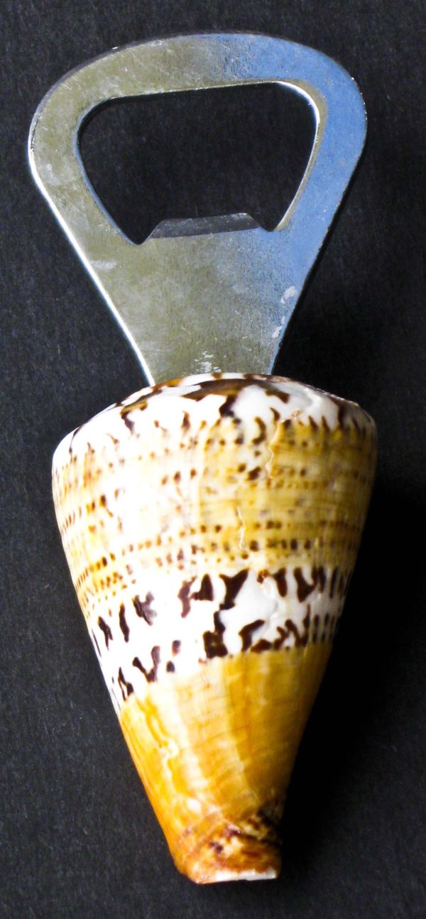 Shell Bottle Opener / Seashell Bottle Opener