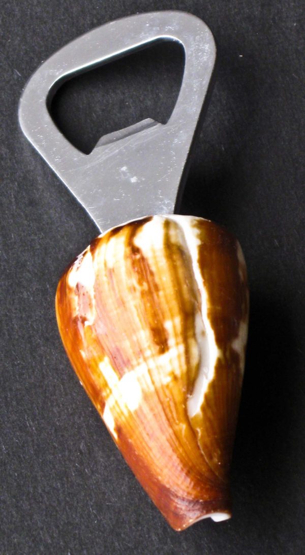 Shell Bottle Opener / Seashell Bottle Opener