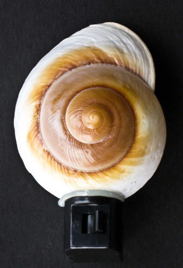 Snail Shell Night Light