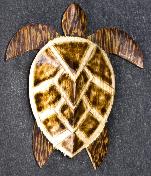 Turtle Magnets - Natural Wood Colors - Natural Turtle's Shell Pattern