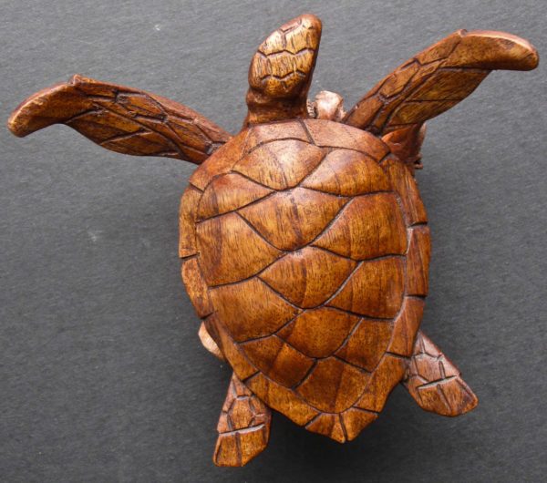 Turtle on Reef Wooden Sculpture