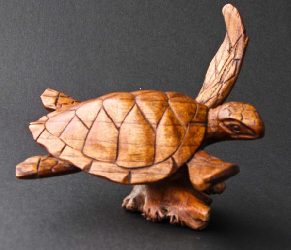 Turtle on Reef Wooden Sculpture