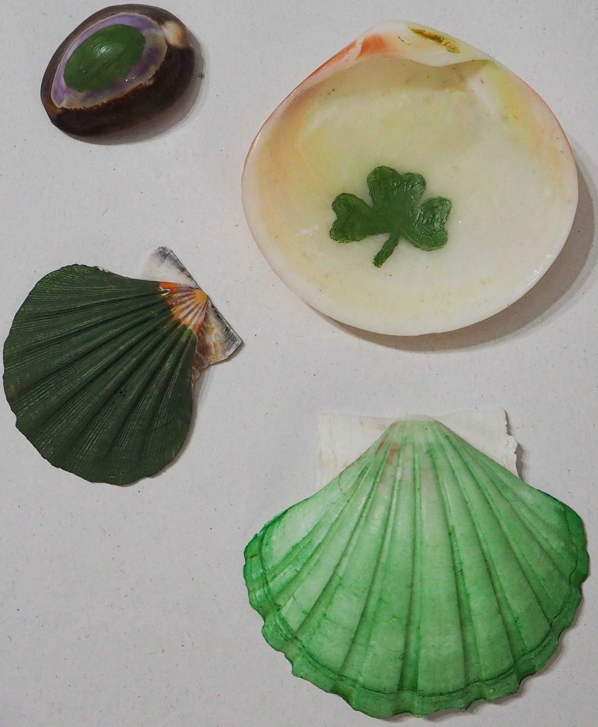 Painted Shells Saint Patricks Day